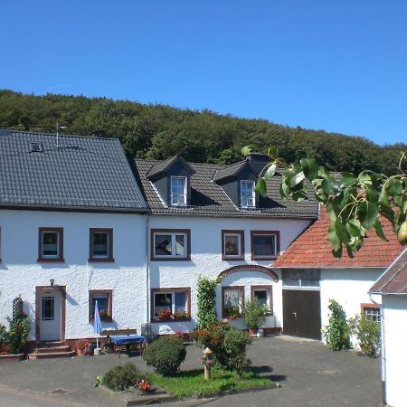Ferienhof An Der Lay Kerpen  エクステリア 写真