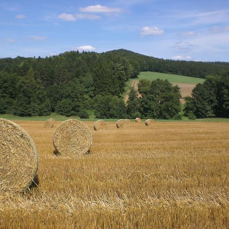 Ferienhof An Der Lay Kerpen  エクステリア 写真