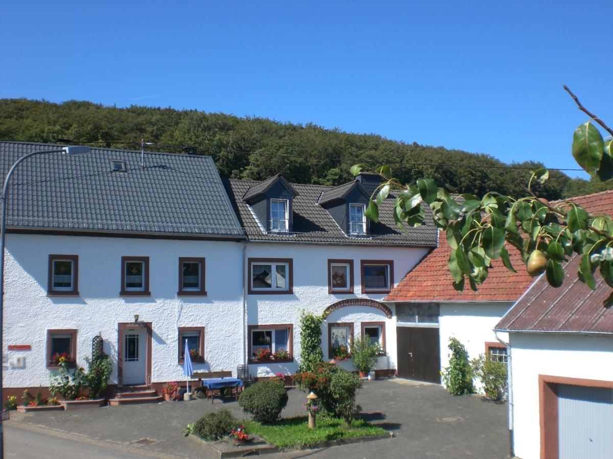 Ferienhof An Der Lay Kerpen  エクステリア 写真