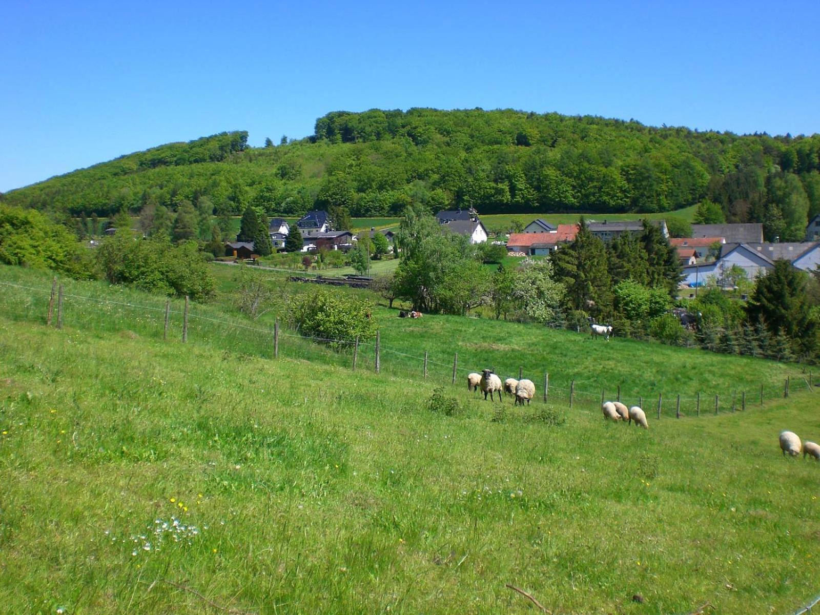 Ferienhof An Der Lay Kerpen  エクステリア 写真