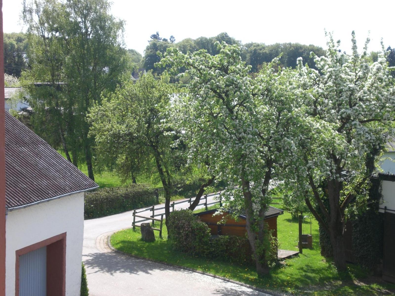 Ferienhof An Der Lay Kerpen  エクステリア 写真