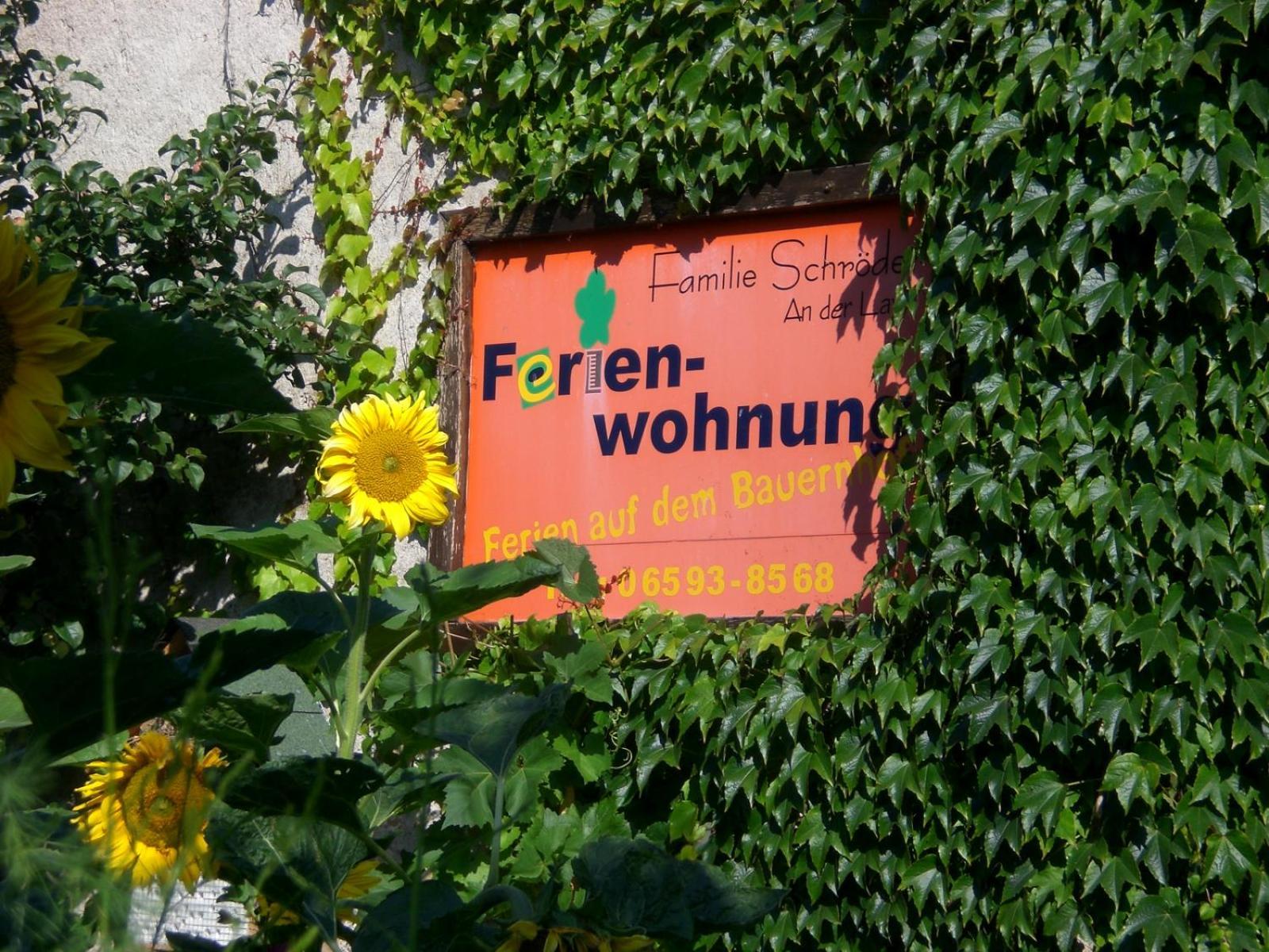 Ferienhof An Der Lay Kerpen  エクステリア 写真