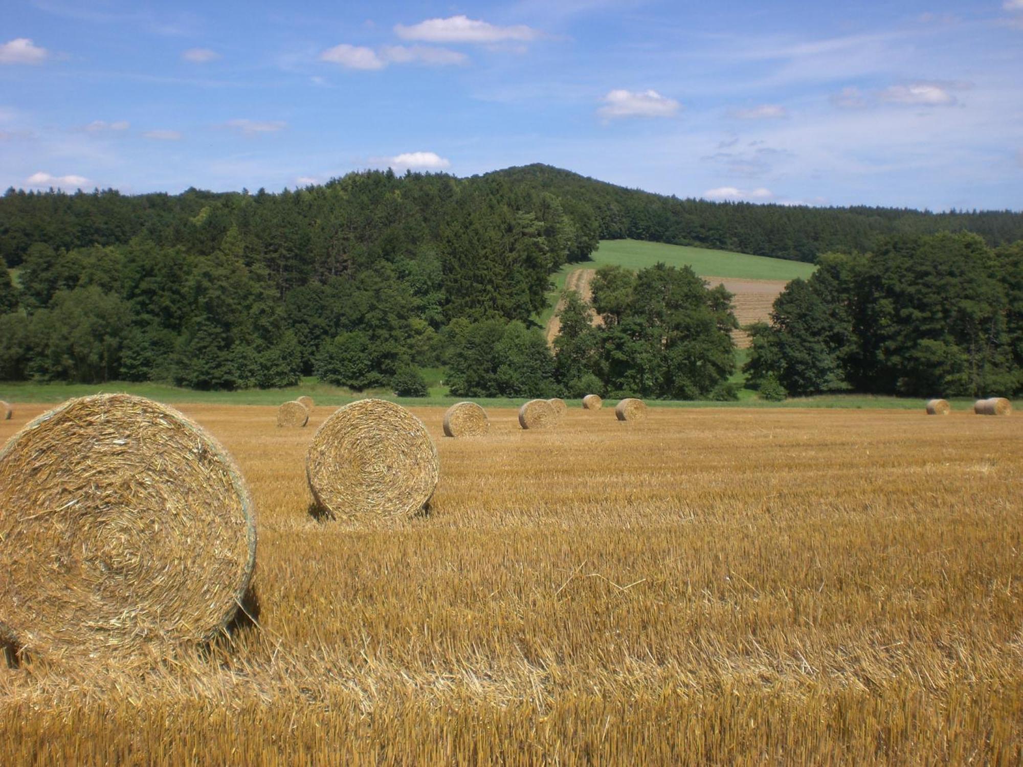 Ferienhof An Der Lay Kerpen  エクステリア 写真