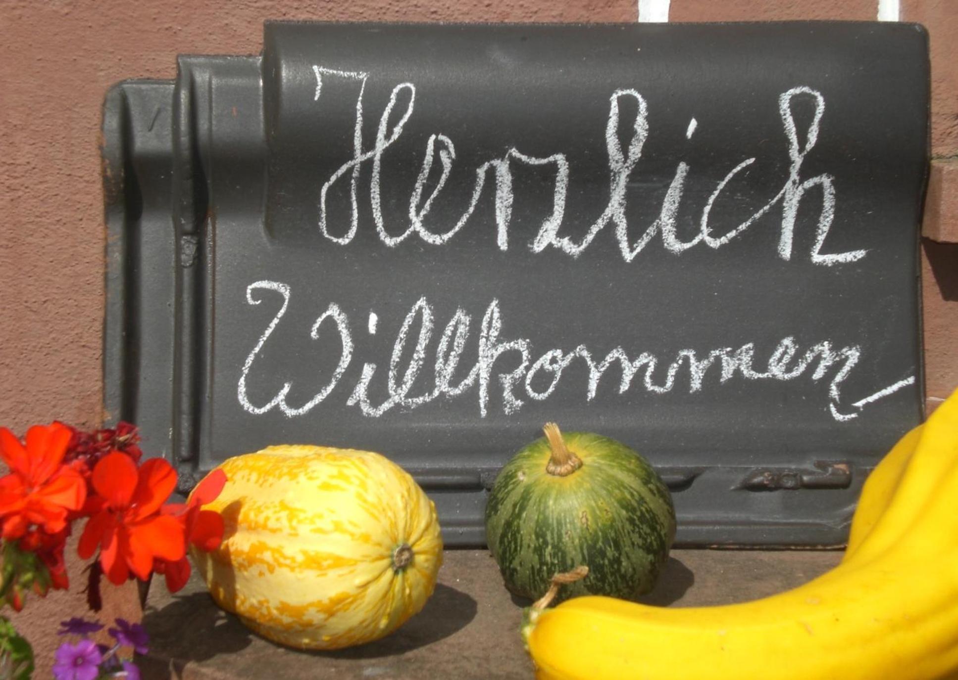 Ferienhof An Der Lay Kerpen  エクステリア 写真