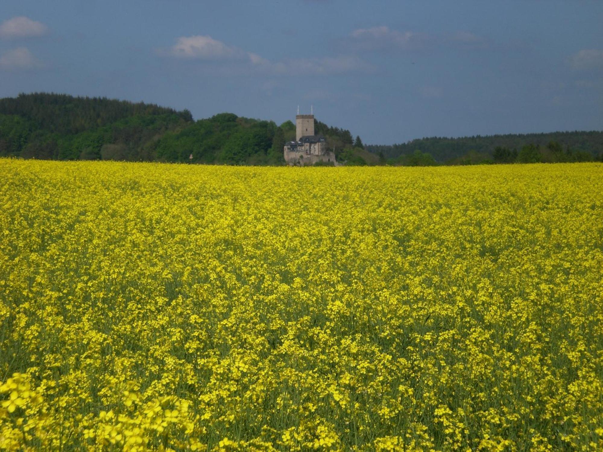Ferienhof An Der Lay Kerpen  エクステリア 写真