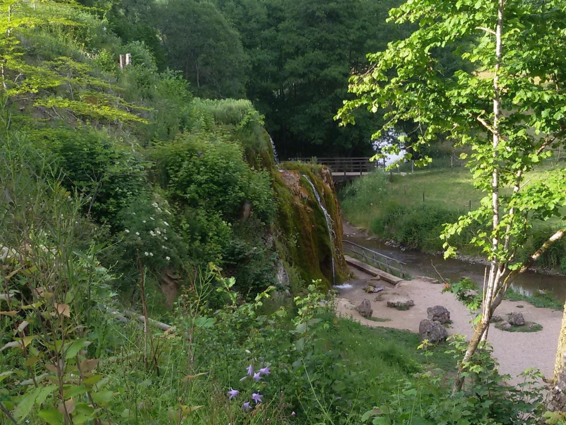Ferienhof An Der Lay Kerpen  エクステリア 写真